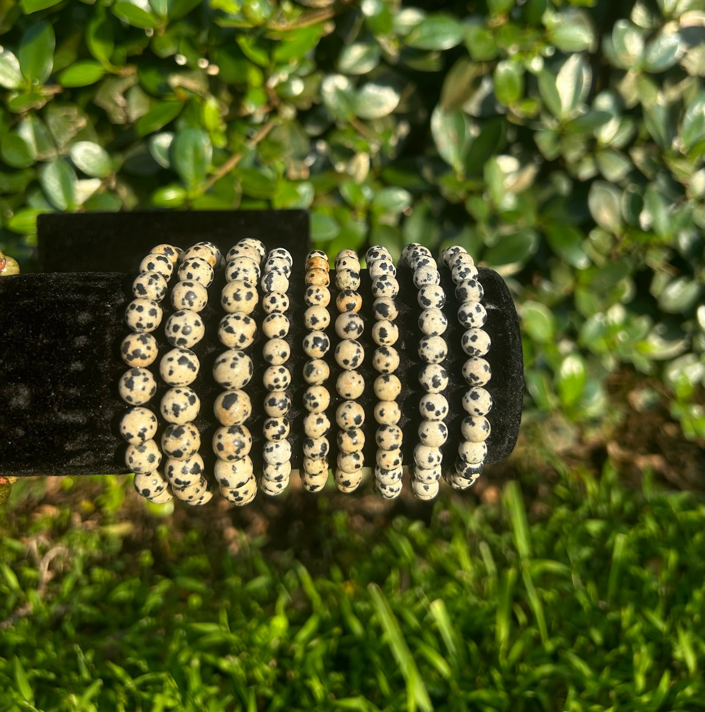 Dalmatian Jasper Bracelets 6MM & 8MM