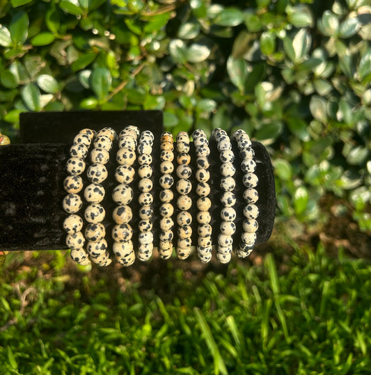 Dalmatian Jasper Bracelets 6MM & 8MM